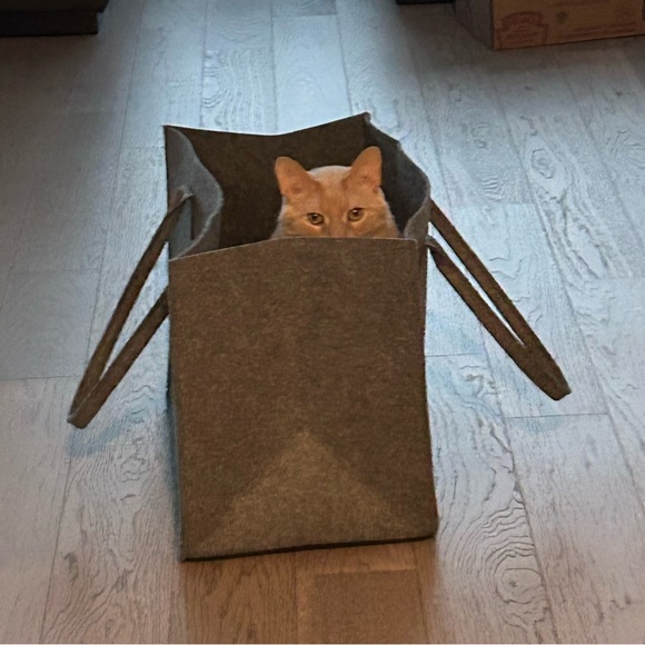paigelshearer